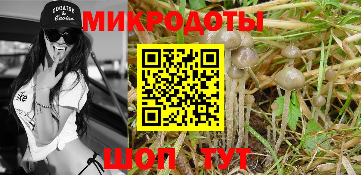 где купить наркоту  Галлюциногенные грибы Psilocybe  Вход с VPN  Саранск 