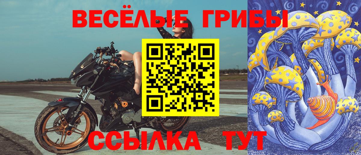 Псилоцибиновые грибы Psilocybine cubensis Саранск